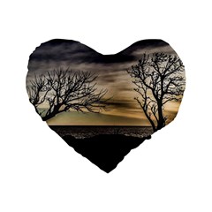 Coastal Sunset Scene At Montevideo City, Uruguay Standard 16  Premium Heart Shape Cushions by dflcprintsclothing