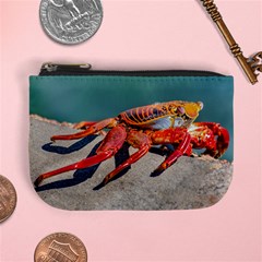 Colored Crab, Galapagos Island, Ecuador Mini Coin Purse by dflcprintsclothing