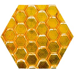 Hexagon Windows Wooden Puzzle Hexagon by essentialimage