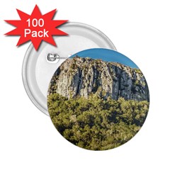 Arequita National Park, Lavalleja, Uruguay 2 25  Buttons (100 Pack)  by dflcprintsclothing