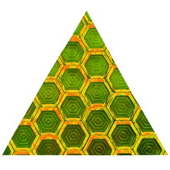 Hexagon Windows Wooden Puzzle Triangle by essentialimage365