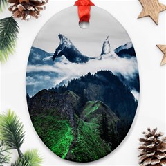 Whales Peak Oval Ornament (two Sides) by goljakoff