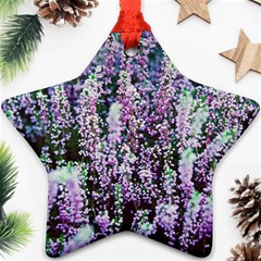 Lavender Love Ornament (star) by LW323