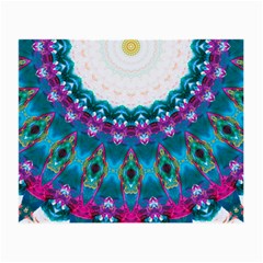 Peacock Small Glasses Cloth by LW323