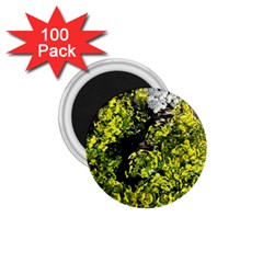 Acid Green Patterns 1 75  Magnets (100 Pack)  by kaleidomarblingart