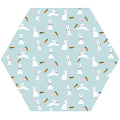 Funny And Funny Hares  And Rabbits In The Meadow Wooden Puzzle Hexagon by SychEva