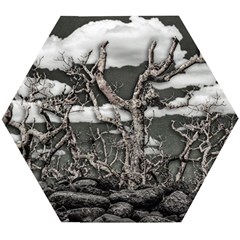 Dark Fantasy Landscape Poster Wooden Puzzle Hexagon by dflcprintsclothing