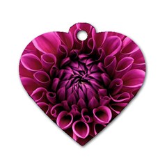 Dahlia-flower-purple-dahlia-petals Dog Tag Heart (two Sides) by Sapixe