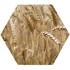 Wheat-field Wooden Puzzle Hexagon by SomethingForEveryone