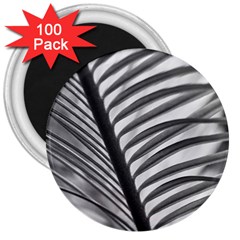 Cycas Leaf The Shadows 3  Magnets (100 Pack) by DimitriosArt