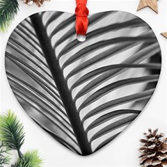 Cycas Leaf The Shadows Heart Ornament (two Sides) by DimitriosArt