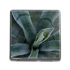 The Agave Heart Under The Light Memory Card Reader (square 5 Slot) by DimitriosArt