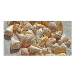 Sea-shells Bg Satin Shawl