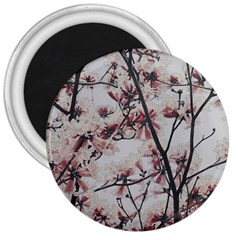 Botanical Scene Textured Beauty Print 3  Magnets