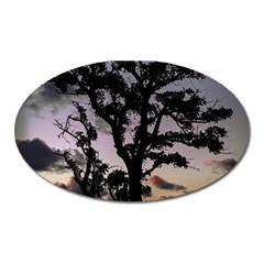 Sunset Coastal Park Landscape, Montevideo Uruguay Oval Magnet by dflcprintsclothing