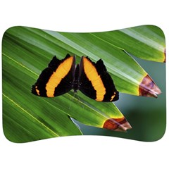 Butterfly  Velour Seat Head Rest Cushion by DimitriosArt