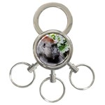 The one 3-Ring Key Chain Front