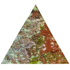 Colorful Abstract Texture Wooden Puzzle Triangle by dflcprintsclothing