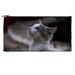 Kitty Pencil Case by DimitriosArt