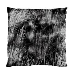 Field Of Light Abstract 1 Standard Cushion Case (two Sides) by DimitriosArt