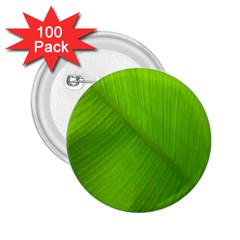 Banana Leaf 2 25  Buttons (100 Pack)  by artworkshop