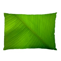 Banana Leaf Pillow Case by artworkshop