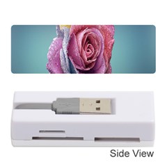 Rose Flower Love Romance Beautiful Memory Card Reader (stick) by artworkshop