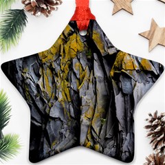 Rock Wall Crevices Geology Pattern Shapes Texture Star Ornament (two Sides) by artworkshop