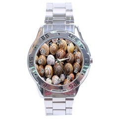 Snail Shells Pattern Arianta Arbustorum Stainless Steel Analogue Watch by artworkshop