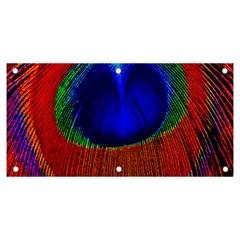 Peacock Plumage Fearher Bird Pattern Banner And Sign 6  X 3 