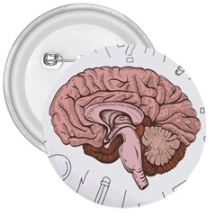 Cerebrum Human Structure Cartoon Human Brain 3  Buttons by Sapixe