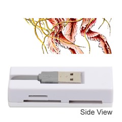 Animal Art Forms In Nature Jellyfish Memory Card Reader (stick) by Sapixe