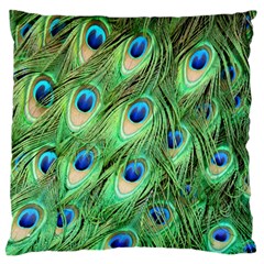 Peacock-green Standard Flano Cushion Case (one Side) by nateshop