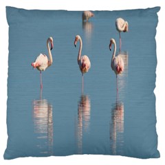 Flamingo Birds Plumage Sea Water Animal Exotic Large Cushion Case (one Side) by artworkshop