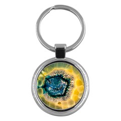 Glowing Yellow And Blue Agate Key Chain (round)