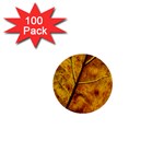 Leaf Leaf Veins Fall 1  Mini Buttons (100 pack)  Front