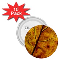 Leaf Leaf Veins Fall 1 75  Buttons (10 Pack)