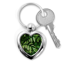 Leaves Foliage Twig Bush Plant Key Chain (heart) by artworkshop