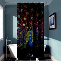 Beautiful Peacock Feather Shower Curtain 36  X 72  (stall) 