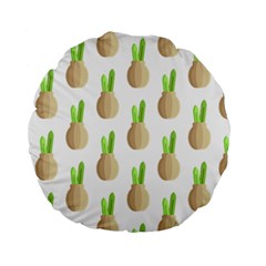 Succulent Vases  Standard 15  Premium Round Cushion  by ConteMonfreyShop