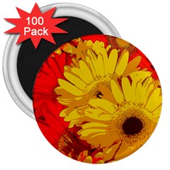 Flower Daisies Bloom Blossom 3  Magnets (100 Pack)