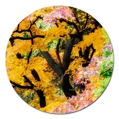 Japan Garden Color Tree Zen Magnet 5  (round) by Wegoenart