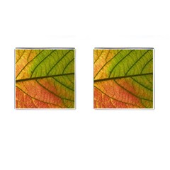 Leaf Autumn Fall Season Macro Cufflinks (square) by Wegoenart