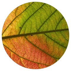 Leaf Autumn Fall Season Macro Round Trivet by Wegoenart