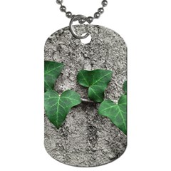 Vine On Damaged Wall Photo Dog Tag (two Sides) by dflcprintsclothing