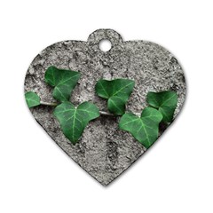 Vine On Damaged Wall Photo Dog Tag Heart (two Sides) by dflcprintsclothing