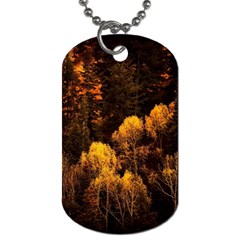 Autumn Fall Foliage Forest Trees Woods Nature Dog Tag (one Side) by danenraven