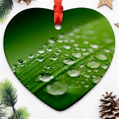 Green Water Leaf Heart Ornament (two Sides)