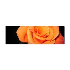 Color Of Desire Sticker Bumper (10 Pack)