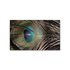 Peacock Sticker (rectangular)